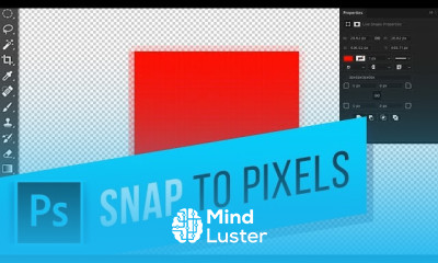 Merge Visible Layers in Photoshop