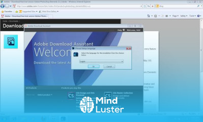 Installing brushes in photoshop elements
