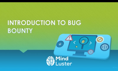 Bug bounty hunting to advanced earning