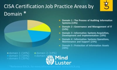 CISA The Process of Auditing Information