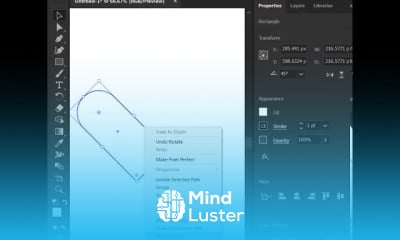 Logo designing in illustrator for designers