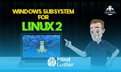 WSL 2 Windows Subsystem for Linux