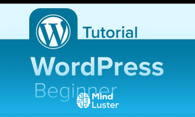 WordPress expert essentials for beginners