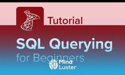 SQL server reporting services basics