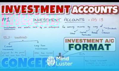 Investment accounts concepts and format