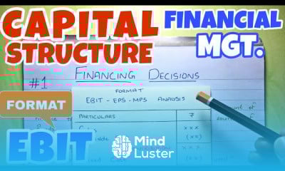 Financial analysis leverage fundamentals