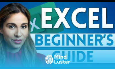 Excel filters basics for beginners