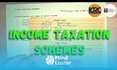 Income taxation schemes for businesses