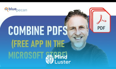 Inserting PDFs in excel for beginners