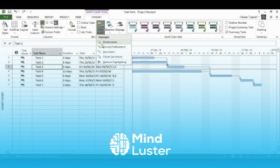 Creating budget resources in MS Project