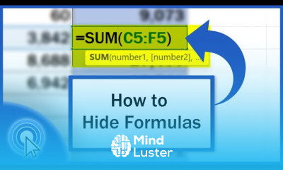 Hiding formulas in excel for beginners