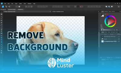 Removing backgrounds in affinity designer