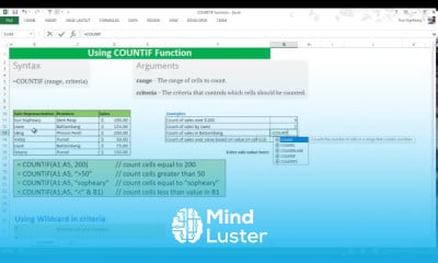 Countif function in excel for beginners