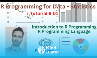 R Programming from Scratch