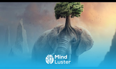 Photoshop manipulation techniques