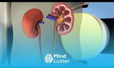 Lithotripsy machine techniques