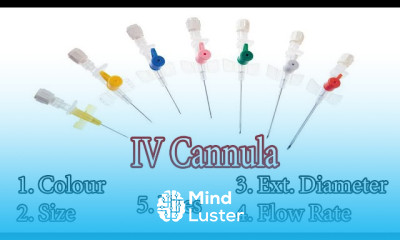 Checking blood Sugar Level with a Glucometer