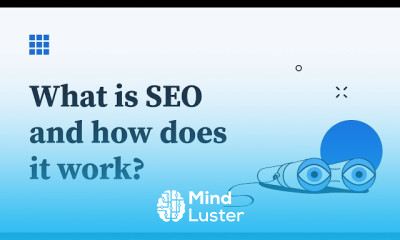 SEO for business growth for beginners