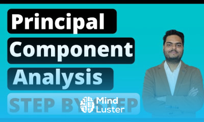 VIF application in python for beginners