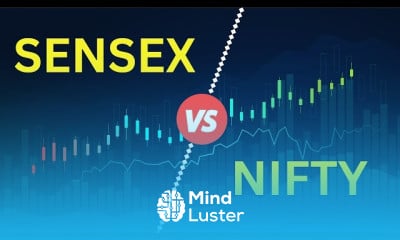 Comparison of equity and preference shares