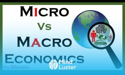 Micro and macro economics for beginners