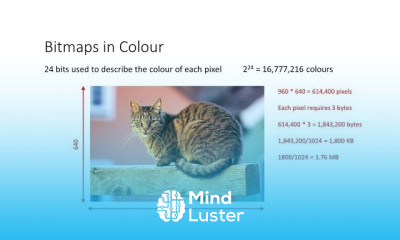 Creating bitmap images from scratch