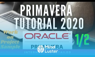 Primavera p6 for beginners