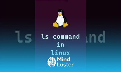 Linux command line essentials