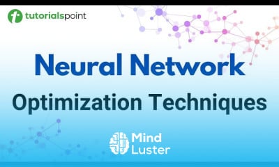 Neural network optimization techniques