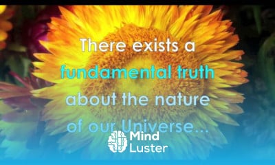 Native english vocabulary for fluency Native english vocabulary for fluency