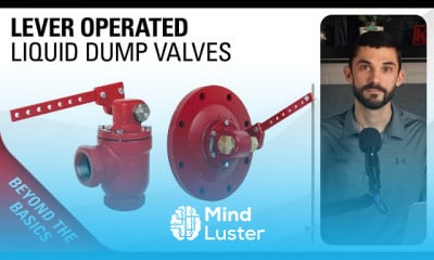 Lever operated mechanical dump valve