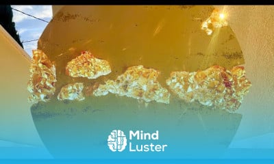 Eco resin art for beginners