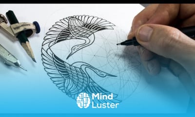 Drawing a massive mandala for beginners