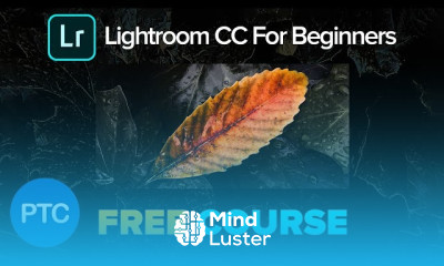 Lightroom CC for beginners