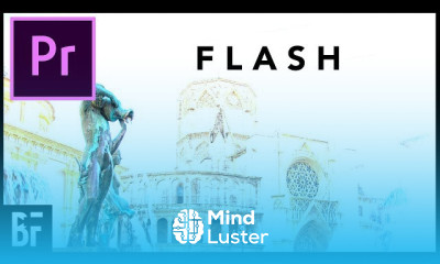 Flash blur transition in premiere pro