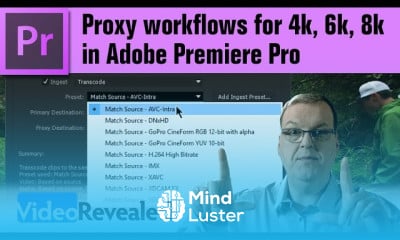 Proxy workflow in adobe premiere pro