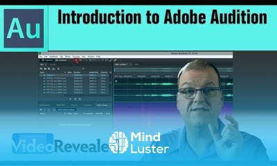 Adobe audition basics for beginners