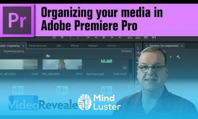 Trim options in premiere pro