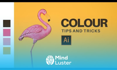 Setting up adobe illustrator for beginners