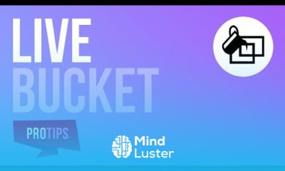 Illustrator scripts for designers