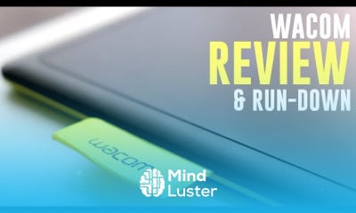 Illustrator brush settings for beginners