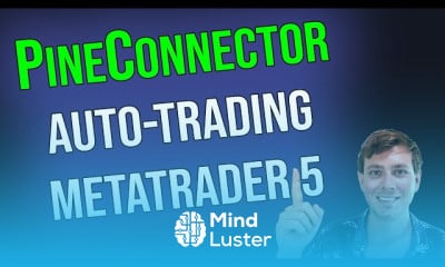 PineConnector settings