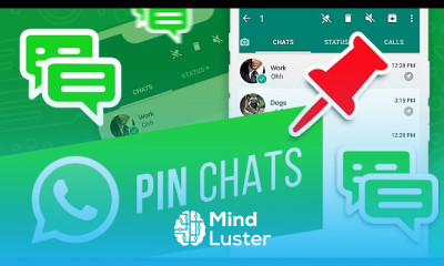 WhatsApp desktop app essentials