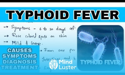 Cell membrane structure