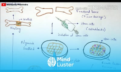 Animal biotechnology fundamentals