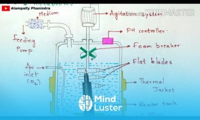 Fermentation process