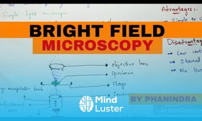 Microscopy types for beginners