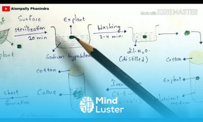 Plant biotechnology