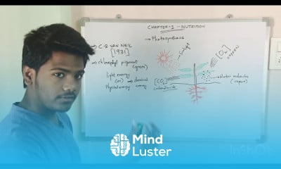 Photosynthesis experiments