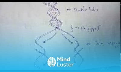 DNA replication and types